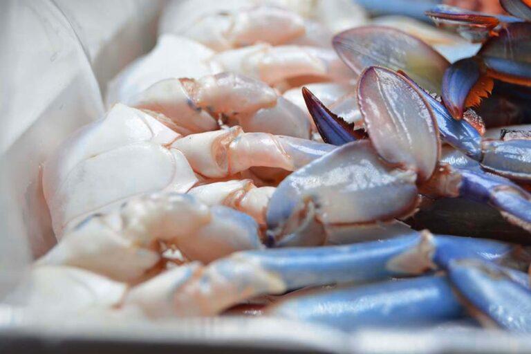 Blue Swimming Crabs & More..